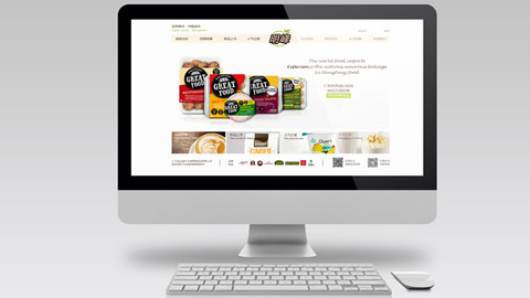 食品品牌设计,网站设计